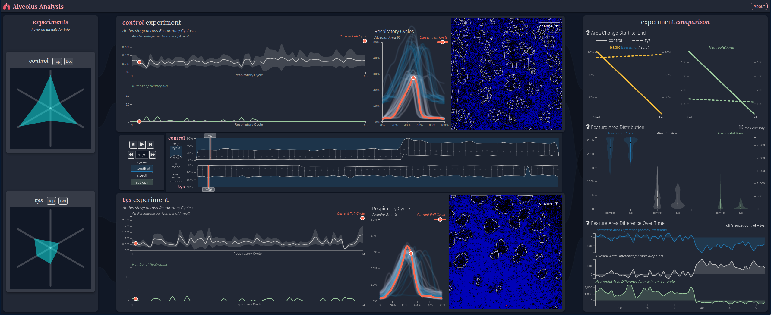 Alveolus Analysis: A Web-based Tool to Analyze Lung Intravital Microscopy